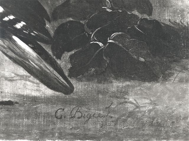 Christie's — Bigée Charles - sec. XVII - Natura morta con vaso di fiori: particolare della firma — particolare